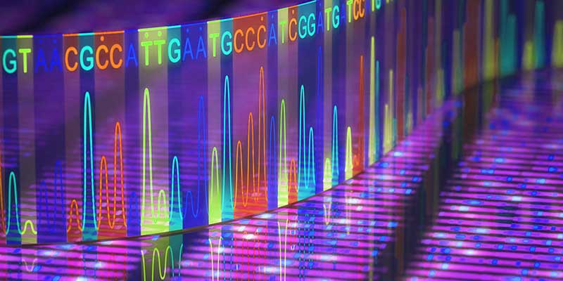 Gene Analysis